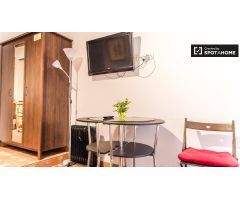 Acogedor estudio en alquiler en la antigua Ciutat Vella