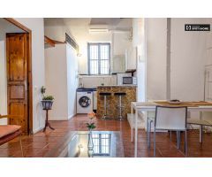 Precioso apartamento de 1 dormitorio en alquiler en Ciutat Vella
