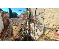 ESTUPENDO EDIFICIO EN EL CENTRO DE ORIHUELA DE DOS PLANTAS CON TERRAZA, MUY ECONÓMICO ¡¡VISITELO!!