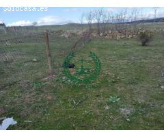 SUELO URBANO EL MOLAR   SUPERFICIE: 1.296,00 m2        PVP.380.300