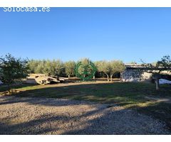 CHALET INDEPENDIENTE CON MAGNIFICA PARCELA