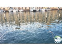 PORT MOXÓ Amarre para velero 3,45 X 10m