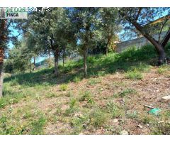 Terreno urbanizable - Can Canyameres