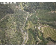 Exclusiva finca rústica en Estepona – 59 hectáreas de privacidad y naturaleza