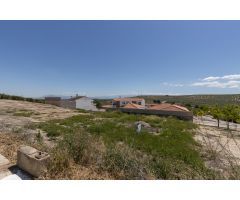 Terreno urbanizable en Venta en Pinos Puente, Granada