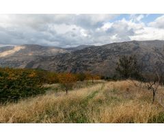 OPORTUNIDAD UNICA EN GUEJAR SIERRA!!!!