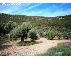 Finca rustica en Venta en Fuentespalda, Teruel