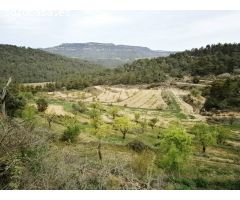 Finca rustica en Venta en Fuentespalda, Teruel