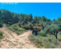 Finca rustica en Venta en Calaceite, Teruel