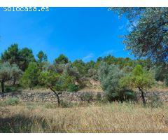 Finca rustica en Venta en Arenys de Lledó    Arens de Lledó, Teruel