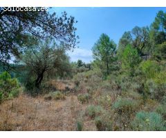 Finca rustica en Venta en Arenys de Lledó    Arens de Lledó, Teruel