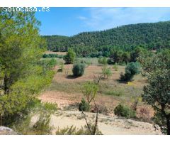 Finca rustica en Venta en Arenys de Lledó    Arens de Lledó, Teruel