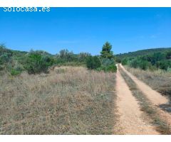 Finca rustica en Venta en Arenys de Lledó    Arens de Lledó, Teruel