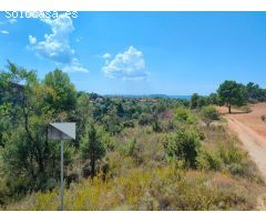 Finca rustica en Venta en Valderrobres, Teruel