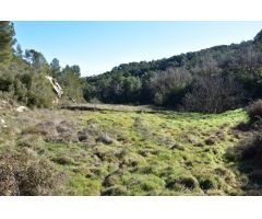 Finca rustica en Venta en Arenys de Lledó    Arens de Lledó, Teruel