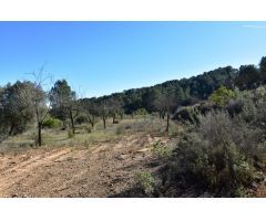 Finca rustica en Venta en Arenys de Lledó    Arens de Lledó, Teruel