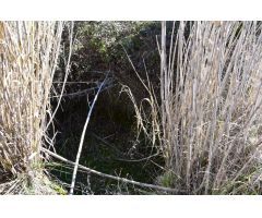 Finca rustica en Venta en Arenys de Lledó    Arens de Lledó, Teruel