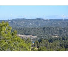 Finca rustica en Venta en Arenys de Lledó    Arens de Lledó, Teruel