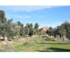 Finca rustica en Venta en Mazaleón, Teruel