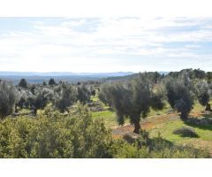 Finca rustica en Venta en Mazaleón, Teruel