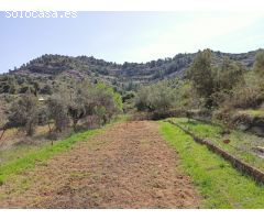 Finca rustica en Venta en Beceite, Teruel