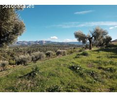 Solar en Venta en Rebolledo, Teruel