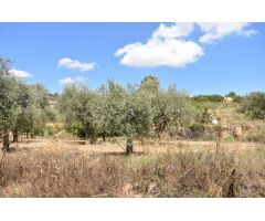 Finca rustica en Venta en Mazaleón, Teruel