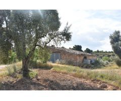 Finca rustica en Venta en Mazaleón, Teruel