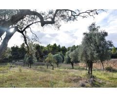 Finca rustica en Venta en Valderrobres, Teruel