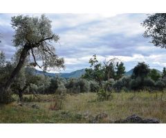 Finca rustica en Venta en Valderrobres, Teruel