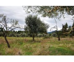 Finca rustica en Venta en Valderrobres, Teruel