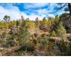 Finca rustica en Venta en Valderrobres, Teruel