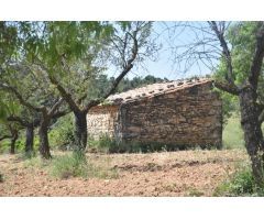 Finca rustica en Venta en Cretas, Teruel