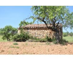 Finca rustica en Venta en Cretas, Teruel