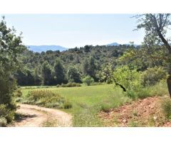 Finca rustica en Venta en Cretas, Teruel