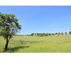 Finca rustica en Venta en Cretas, Teruel