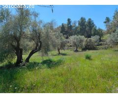 Finca rustica en Venta en Ráfales, Teruel