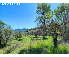 Finca rustica en Venta en Ráfales, Teruel