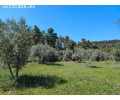 Finca rustica en Venta en Ráfales, Teruel