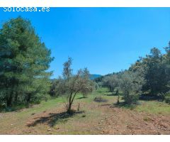 Finca rustica en Venta en Ráfales, Teruel