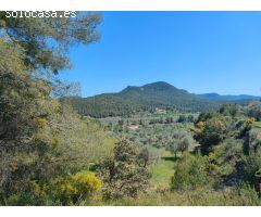 Finca rustica en Venta en Ráfales, Teruel