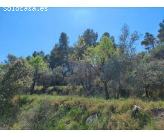 Finca rustica en Venta en Ráfales, Teruel