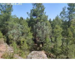 Finca rustica en Venta en La Portellada, Teruel