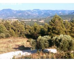 Finca rustica en Venta en Monroyo, Teruel