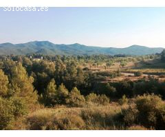 Finca rustica en Venta en Monroyo, Teruel