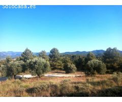 Finca rustica en Venta en Monroyo, Teruel