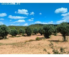 Finca rustica en Venta en Bellmunt de Mesquí   Belmonte de San José, Teruel