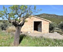 Finca rustica en Venta en Fuentespalda, Teruel
