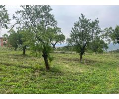 Finca con casita cerca de Monroyo