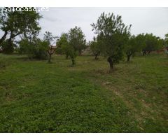 Finca con casita cerca de Monroyo